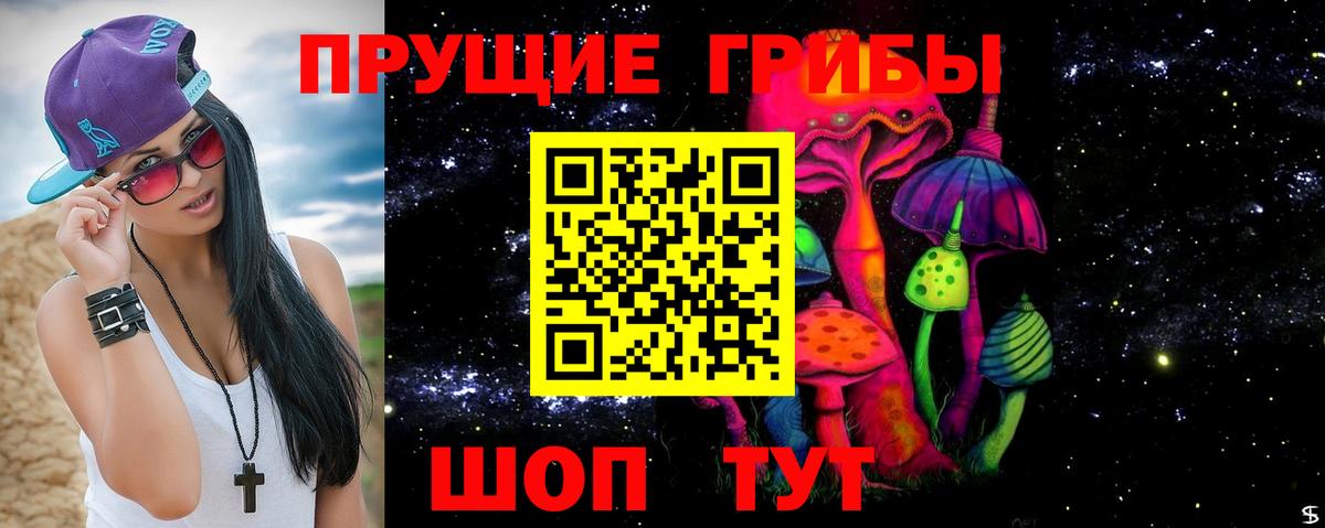 Галлюциногенные грибы прущие грибы  Псилоцибиновые грибы Magic Shrooms  Учалы  Вход с VPN 